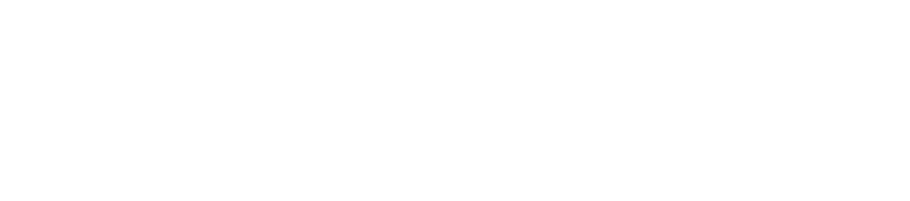South Simcoe Basketball Club